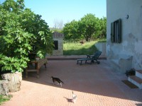 /album/casacampagna/dscn1416-jpg/