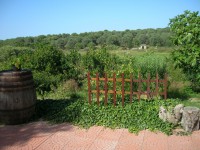 /album/casacampagna/dscn1417-jpg/
