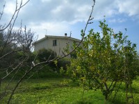 /album/galleria-fotografica/dscn1643-jpg/