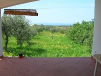 /album/galleria-fotografica/973534photo-jpg/