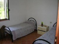 /album/galleria-fotografica/973545photo-jpg/